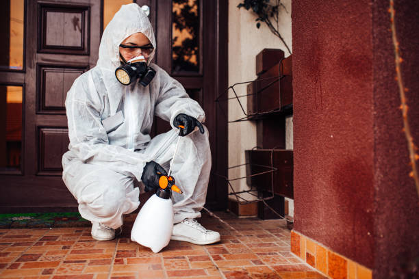 Reliable Ant Control contractor in Landrum, SC by Show Me Pest Control